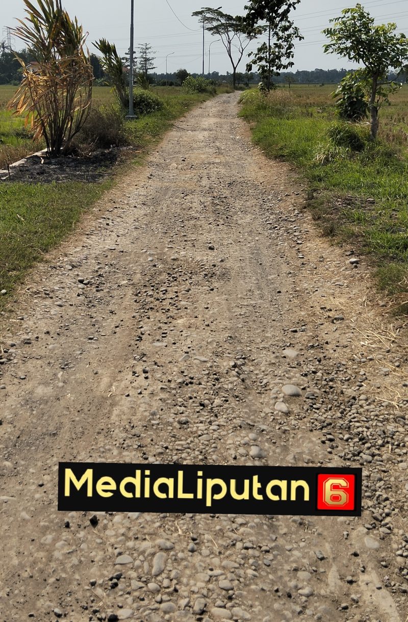 Oplus_131104